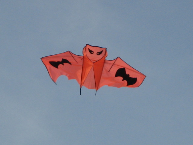 Bat Kite